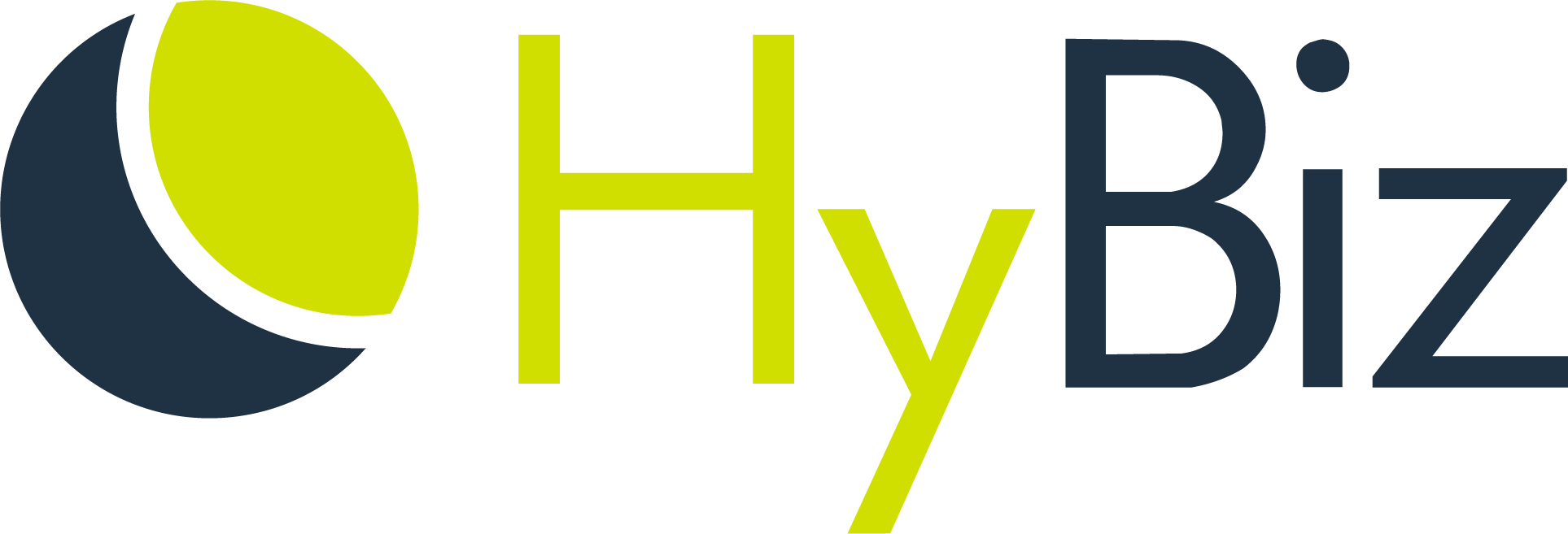 HyBiz